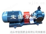YCB1.6-0.6YCB圆弧齿轮泵生产厂家去哪找泊头宝图