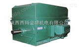 YTM高压磨煤电机YTM高压磨煤机用电动机系列
